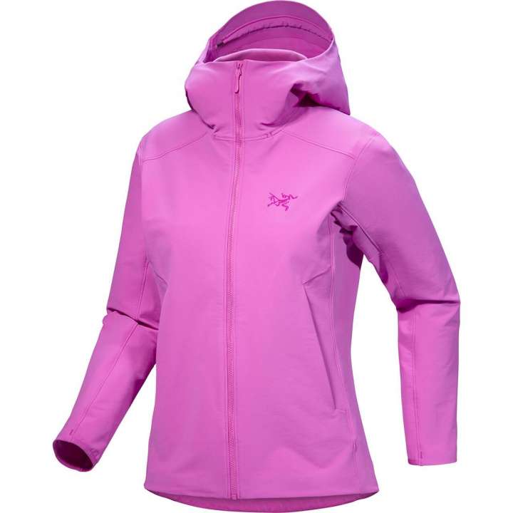 Priser på Arcteryx Womens Gamma Hoody (Lyserød (ALPENGLOW) Large)