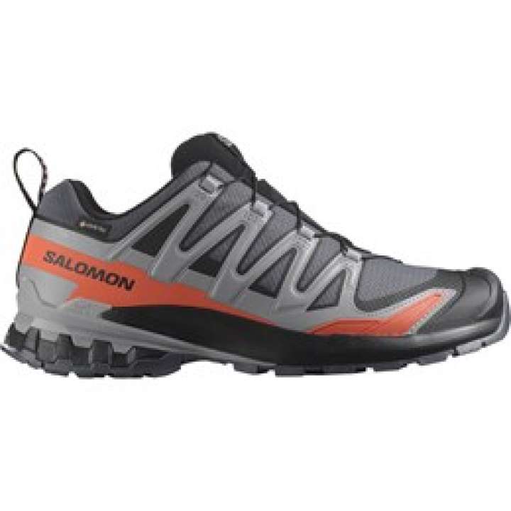 Priser på Salomon XA Pro 3D v9 GTX